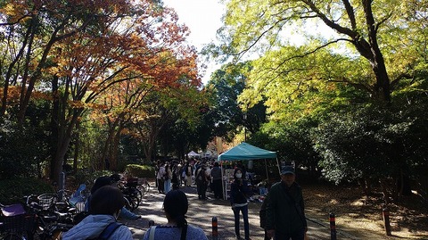 KIMG20251123_102727931