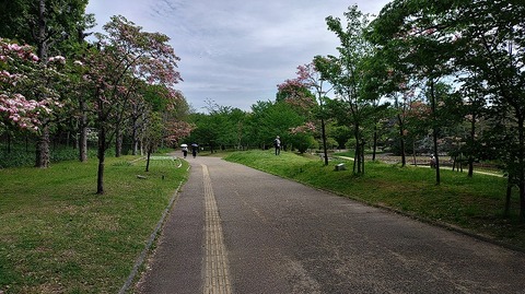 KIMG20260422_095447826