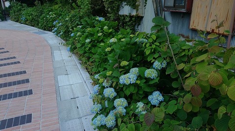 KIMG20260512_053437442