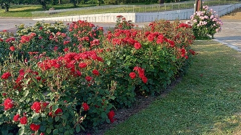 KIMG20260519_061428296
