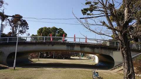 KIMG20260223_113250475