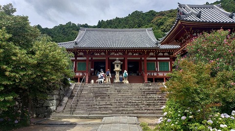 KIMG20260618_100006185