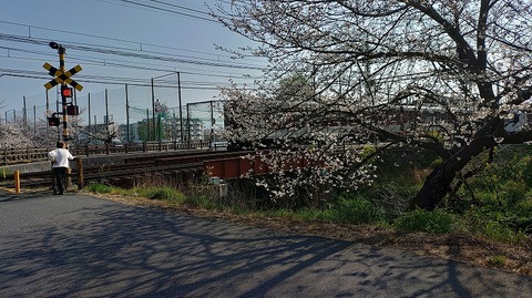 KIMG20260403_082547903