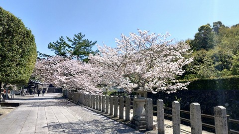 KIMG20260408_104140569