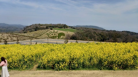 KIMG20260324_115133922