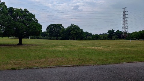 KIMG20260730_055944790