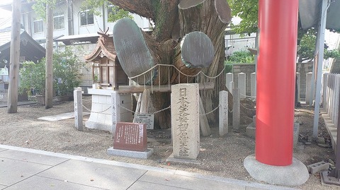 KIMG20260630_071406115