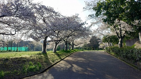 KIMG20260406_071554610