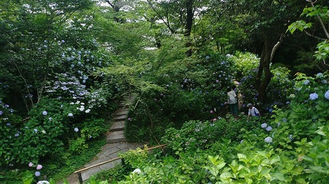 KIMG20260618_101248687