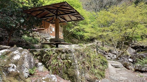 KIMG20260417_121548198