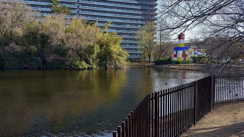 KIMG20260301_083300788