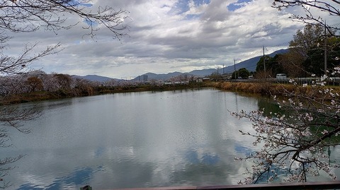 KIMG20260331_104926808