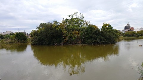 KIMG20251025_084737574