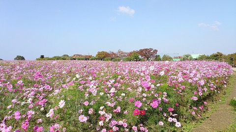 KIMG20251114_103403118