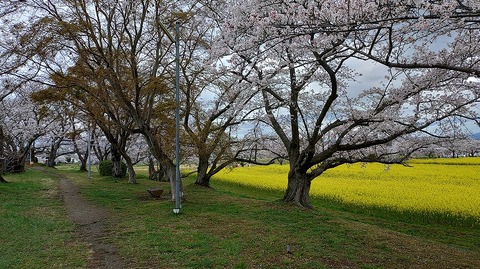 KIMG20260331_104527906