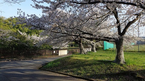 KIMG20260406_071540812