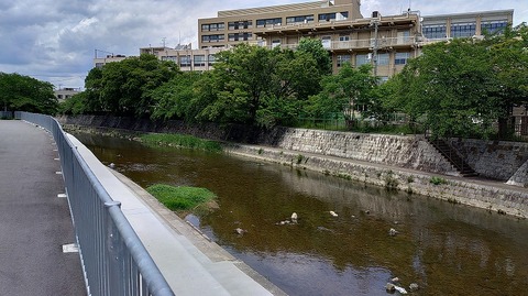 KIMG20260606_124950390