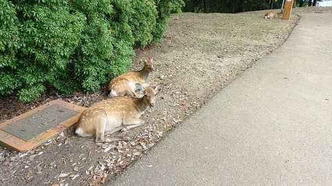 KIMG20250917_114423426