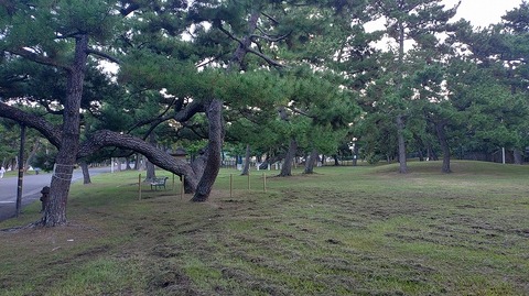 KIMG20251027_061956728