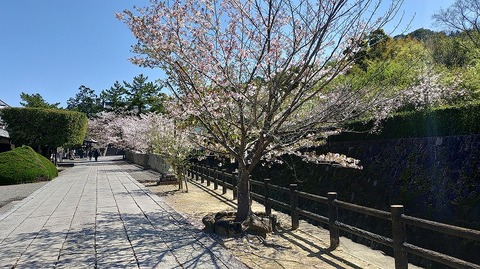 KIMG20260408_104115353