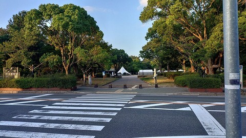 KIMG20260901_060431617