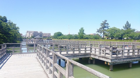 KIMG20260530_135928206