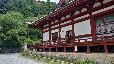 KIMG20260618_100419152
