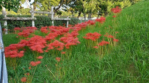 KIMG20251002_064425479