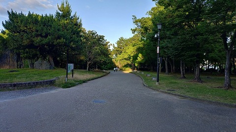 KIMG20260617_053604793