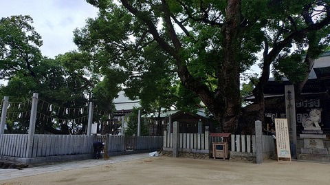 KIMG20261004_080021237