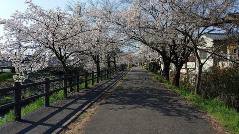 KIMG20260403_084304056