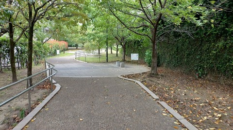 KIMG20261004_080700299