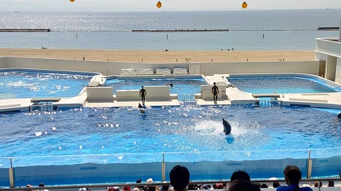 KIMG20251008_110155713