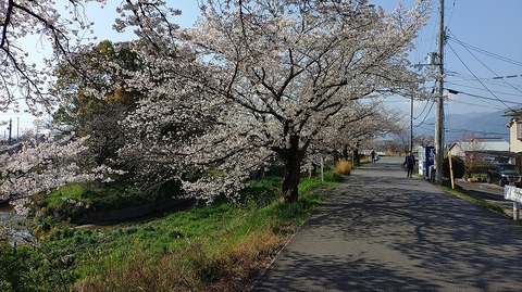 KIMG20260403_084436614