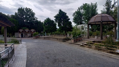 KIMG20260906_073629216