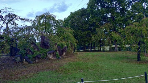 KIMG20251020_062227588