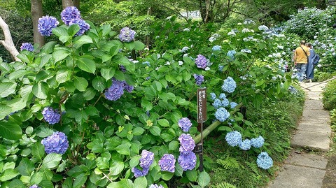 KIMG20260618_101747637