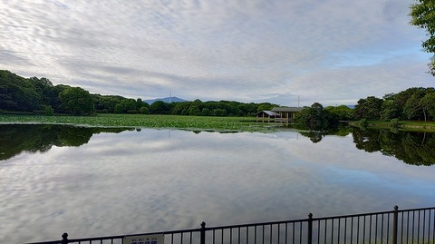KIMG20260608_061321729