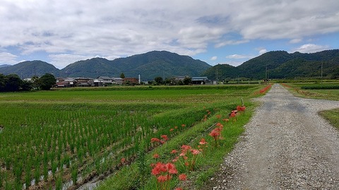 KIMG20260930_113347976