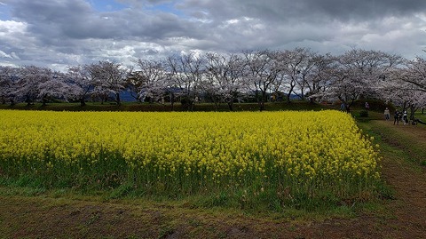 KIMG20260331_103948639