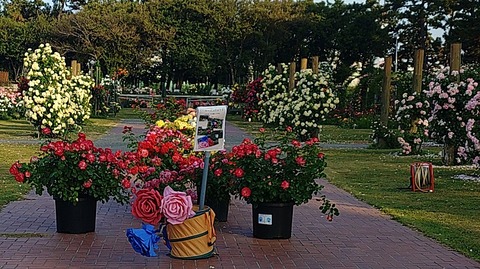 KIMG20260519_061454562