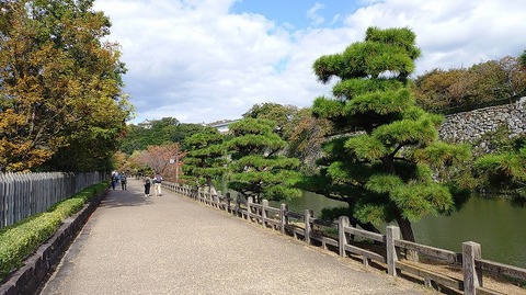 KIMG20251029_124419786