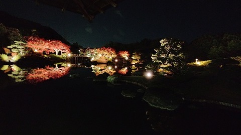 KIMG20251121_180445374