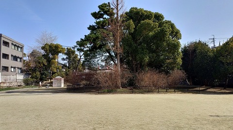 KIMG20260223_113149526