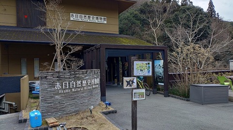 KIMG20260129_112904233