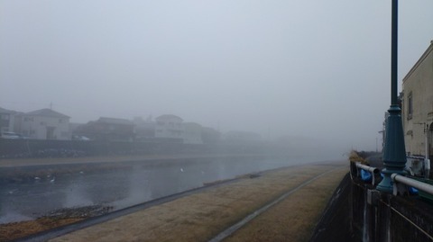 KIMG20260117_072730824