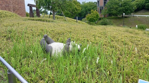 KIMG20260704_112511906