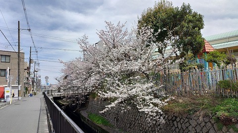 KIMG20260405_105812141