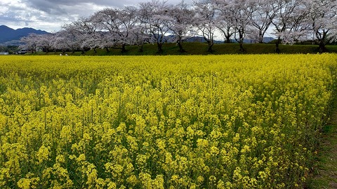 KIMG20260331_104210871