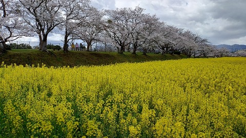 KIMG20260331_104323707